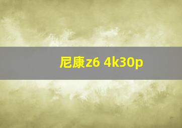 尼康z6 4k30p